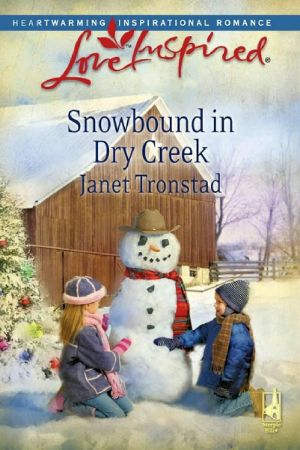 [Dry Creek 14] • Snowbound in Dry Creek